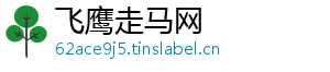 飞鹰走马网